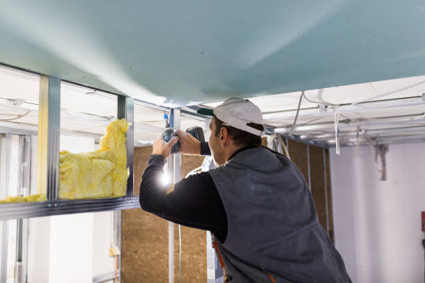 Best Weatherproofing Services  in Anderson Creek, NC